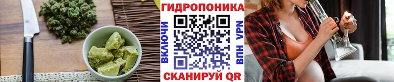 дарнет шоп  Елабуга  Cannafood марихуана 
