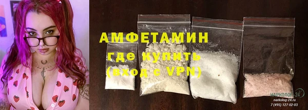 прущие грибы Заводоуковск