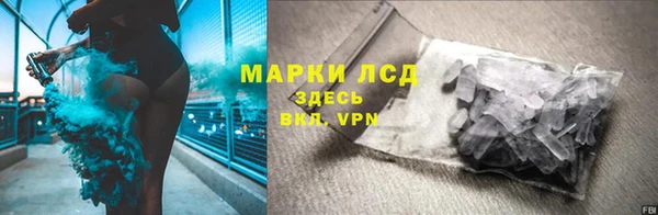 ешки Новосибирск
