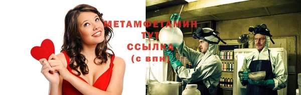 прущие грибы Заводоуковск
