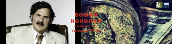 прущие грибы Заводоуковск