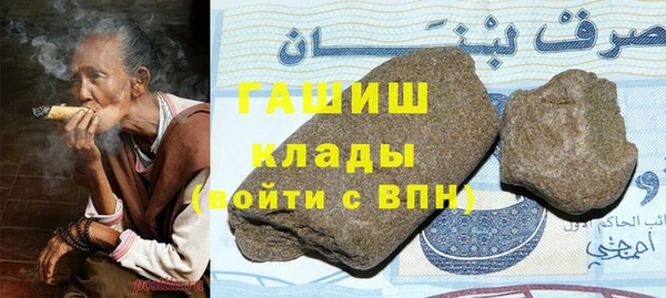 прущие грибы Заводоуковск