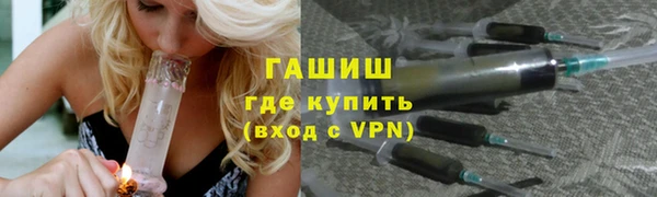 прущие грибы Заводоуковск