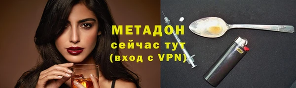 прущие грибы Заводоуковск