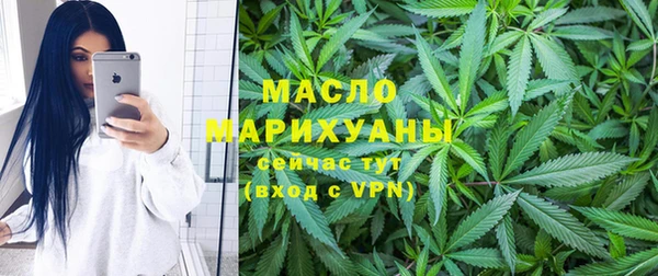 прущие грибы Заводоуковск