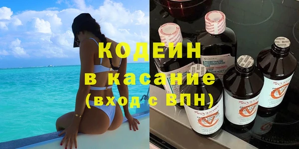 прущие грибы Заводоуковск