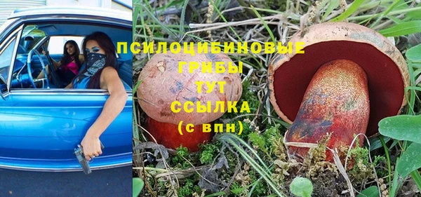 каннабис Елизово