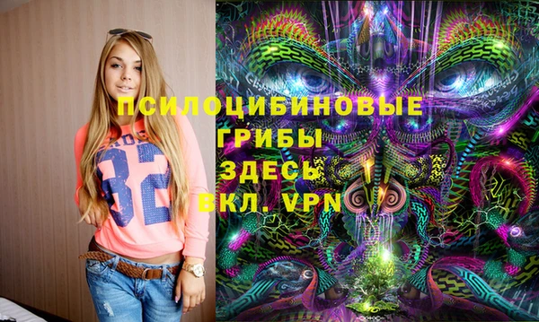 прущие грибы Заводоуковск
