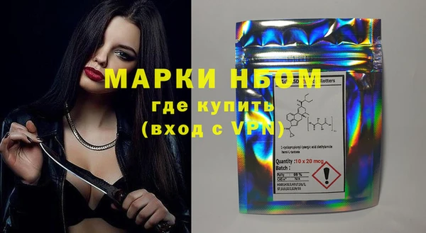 прущие грибы Заводоуковск