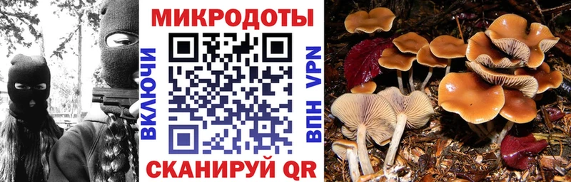 закладки  Елабуга  MEGA   дарк нет клад  Галлюциногенные грибы Magic Shrooms 