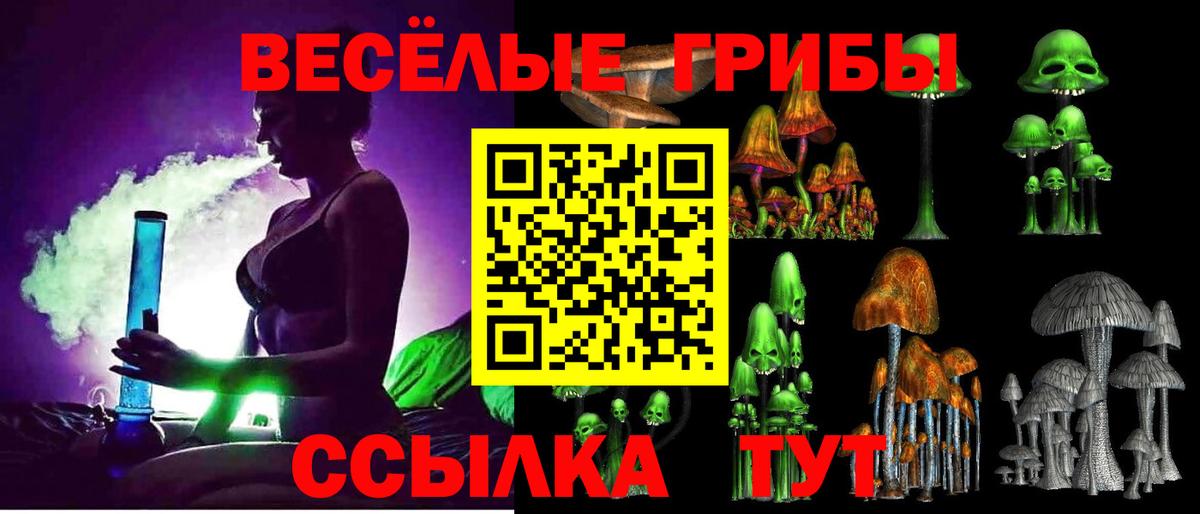 Елабуга  даркнет сайт  Вход с VPN  Псилоцибиновые грибы GOLDEN TEACHER 