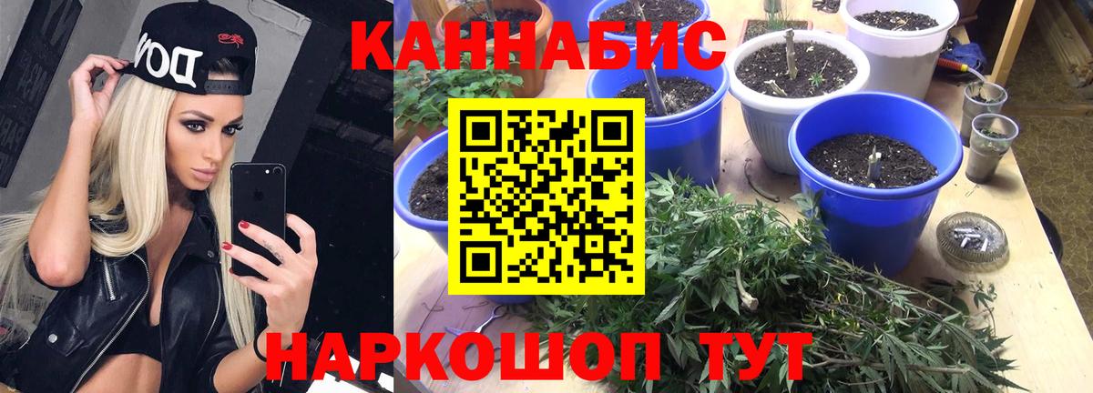 Конопля конопля Елабуга